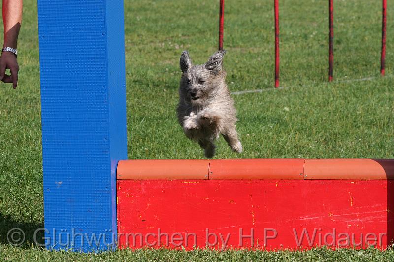 gluehwuermchen08 094 (31).jpg